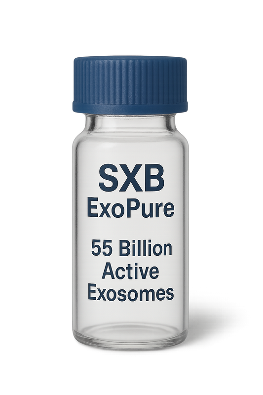 active exosomes stem cells