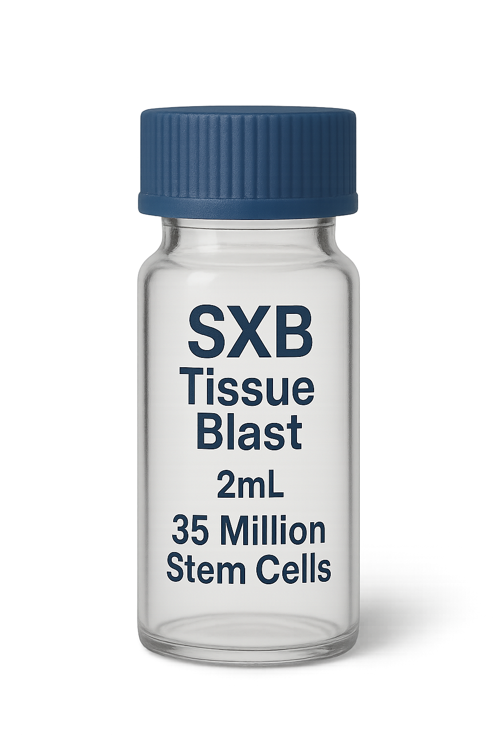 stem cells tissue blast exosomes
