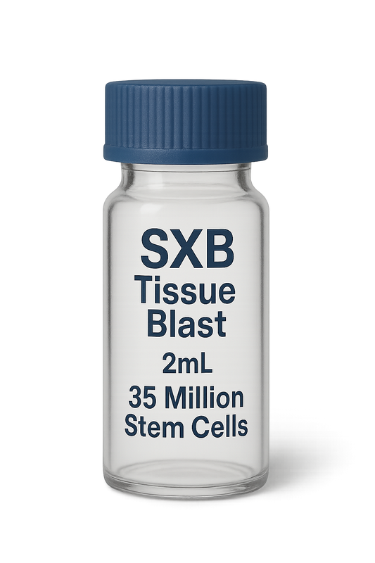 stem cells tissue blast exosomes